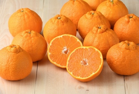 (限定商品)【フルーツワールド】不知火（3月上旬～3月下旬頃発送予定）