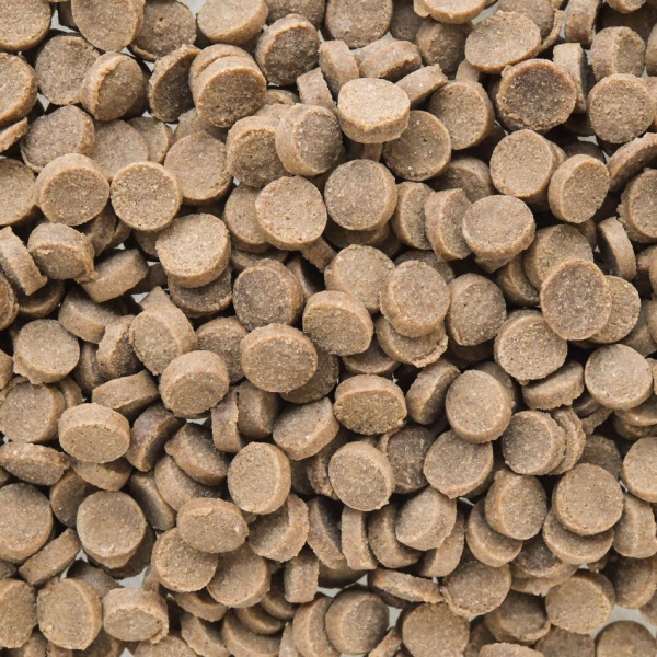 【わんこのおもい】ポンポンデリ