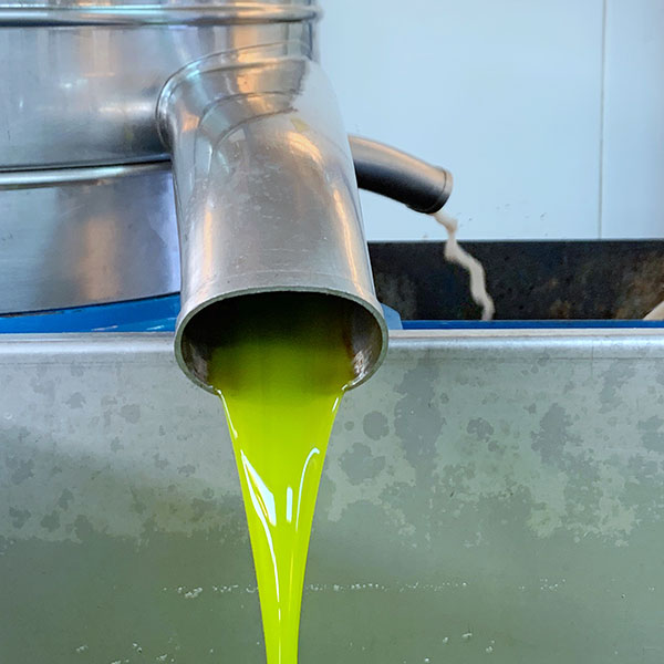 【アリスティ】スパルタグローヴスエキストラバージンオリーブオイル750mlボトル