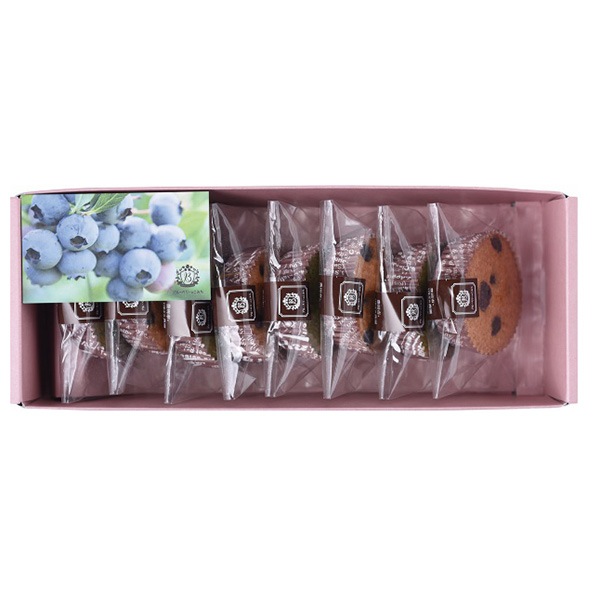 【ブルーベリーのこみち】ブルーベリーフィナンシェ８個入り