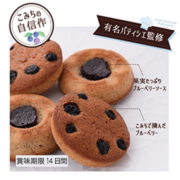 【ブルーベリーのこみち】ブルーベリーフィナンシェ８個入り