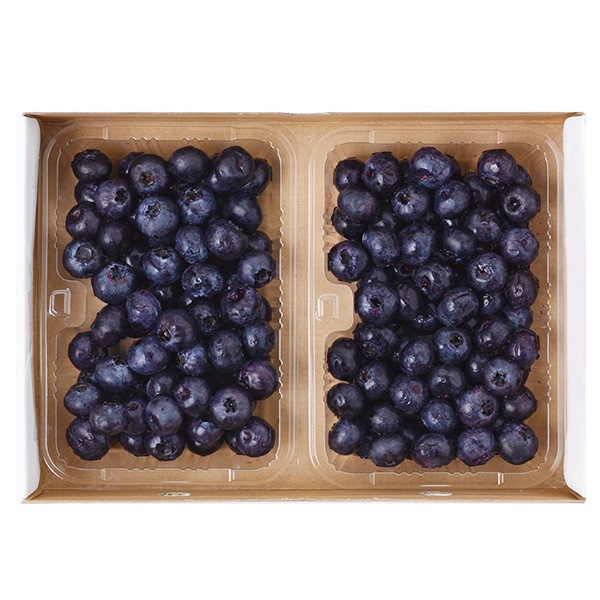 【ブルーベリーのこみち】冷凍加工用ブルーベリー500g