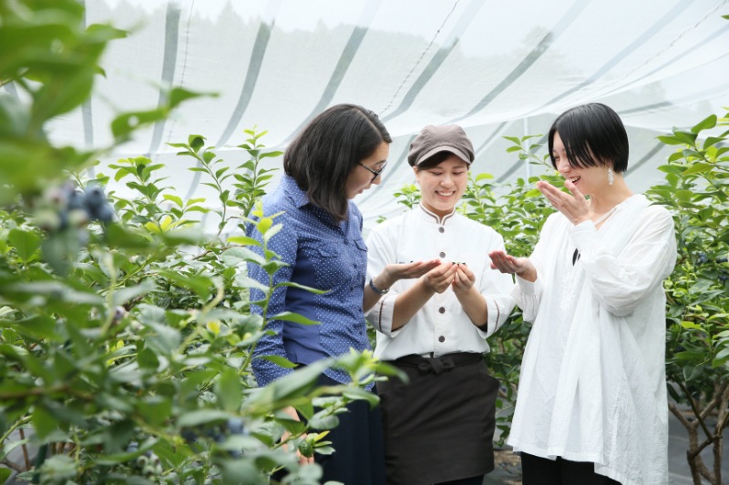 【ブルーベリーのこみち】冷凍加工用ブルーベリー500g