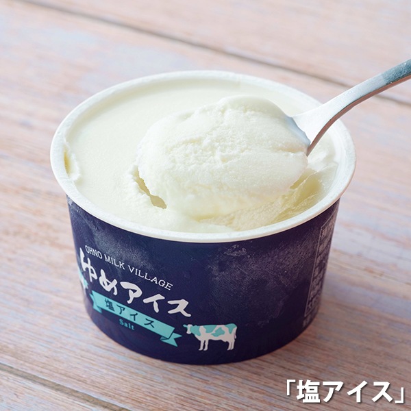 【おおのミルク工房】ゆめアイスセット(12個)