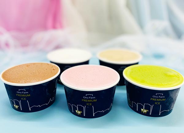 【小野ファーム】アイスクリーム10個セット