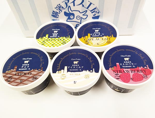 【小野ファーム】アイスクリーム10個セット