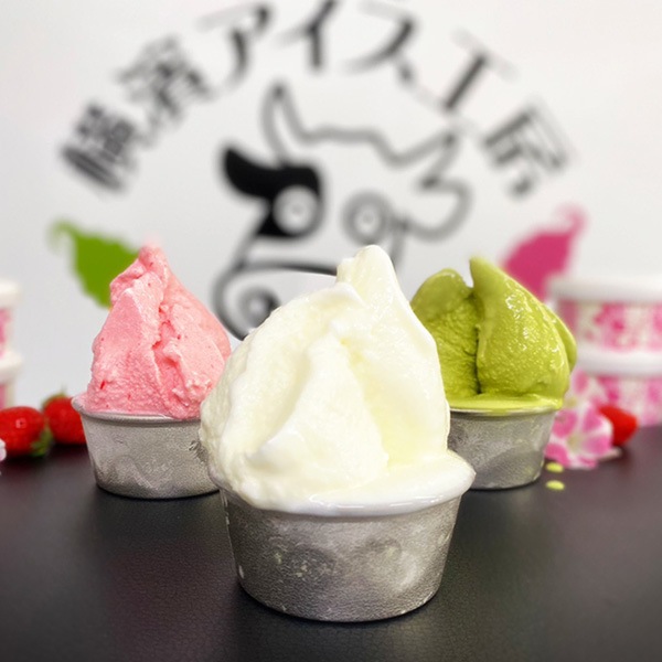 【小野ファーム】アイスクリーム10個セット