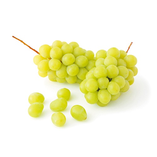 【オリジナルあい】オーシャンテールグルメ デリシャスコース