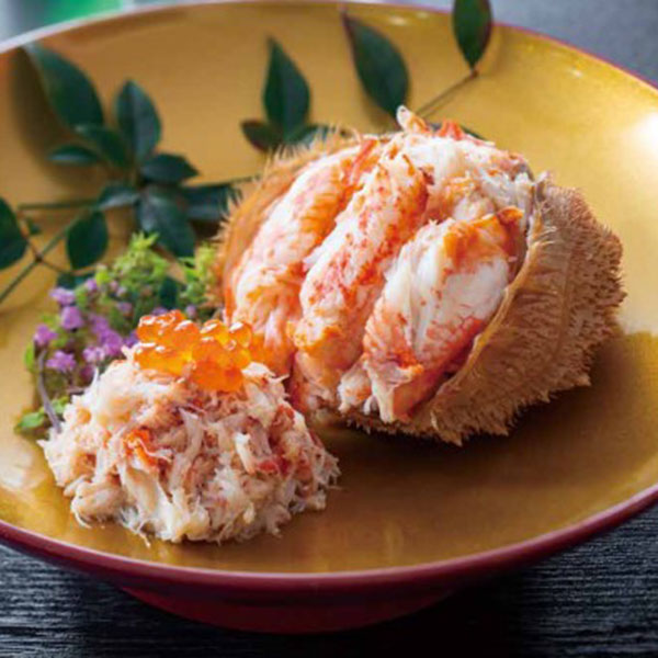 【オリジナルあい】オーシャンテールライフ　シップコース