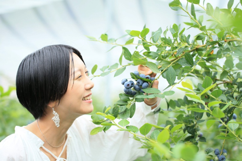 【ブルーベリーのこみち】ブルーベリー冷凍果実1kg(500gパック×2)