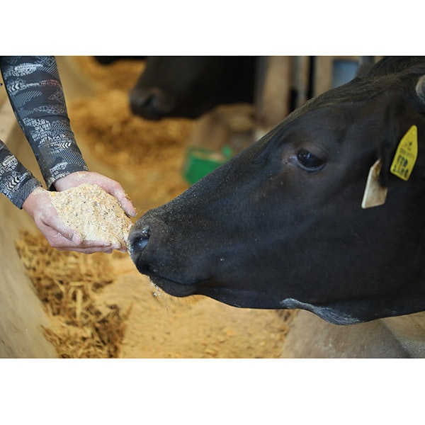 【ナカヤマさん家のお肉】和牛のネック【塊】2kg