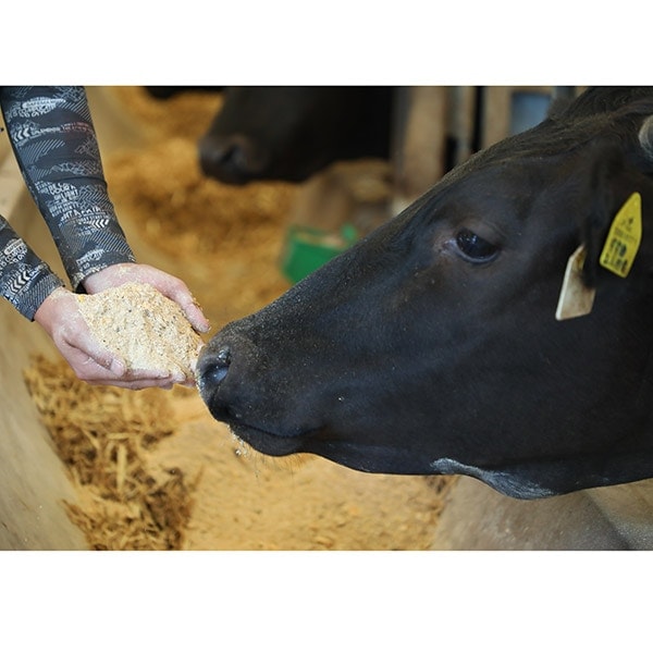 【ナカヤマさん家のお肉】和牛のネック【塊】お試し1kg