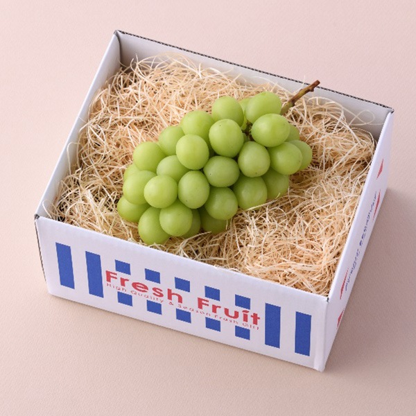 【フルーツワールド】シャインマスカット 450g(1房)(8月下旬~10月上旬頃発送予定)