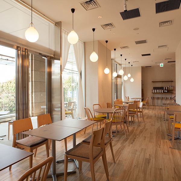 【モルソー】秋元さくら監修 国産牛すじ赤ワインカレー