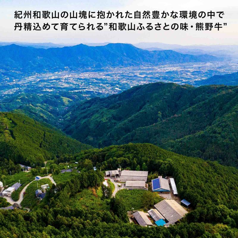 【ミートファクトリー】熊野牛　しゃぶしゃぶ極上ロース 300g (約2～3人前)