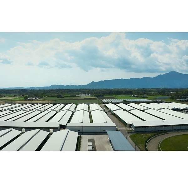 【ナカヤマさん家のお肉】カイノミ【塊】お試し1kg