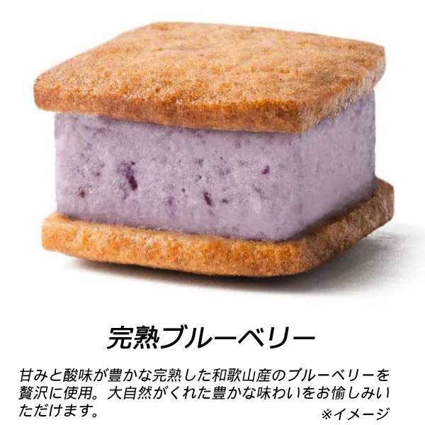 【和歌山バターサンド専門店101】バターサンド12種ご自宅用セット