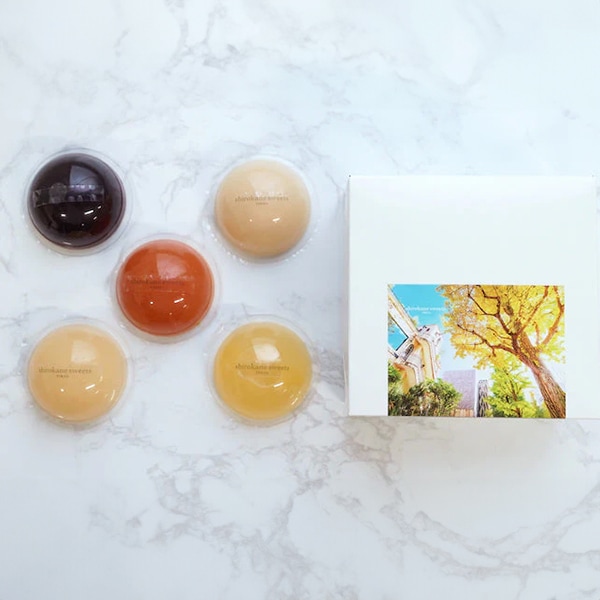 【shirokane sweets TOKYO】涼菓　フルーツゼリー5種セット（フルーツゼリー5種）