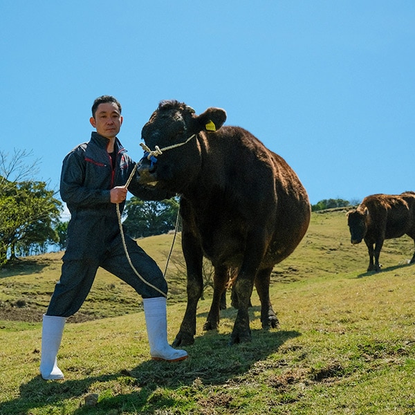【鏡山牧場】八崎牛の熟成切り落とし200g【200g×1】