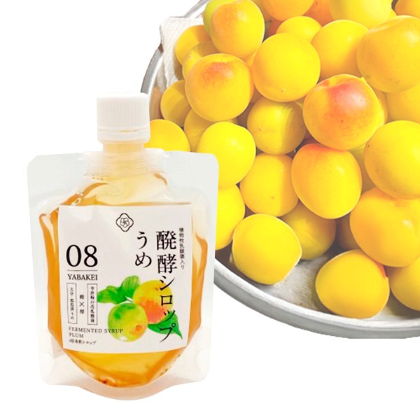 【蛍茶園】おすすめ発酵シロップ4種セット(黒蜜、ジンジャー、いちご、梅)