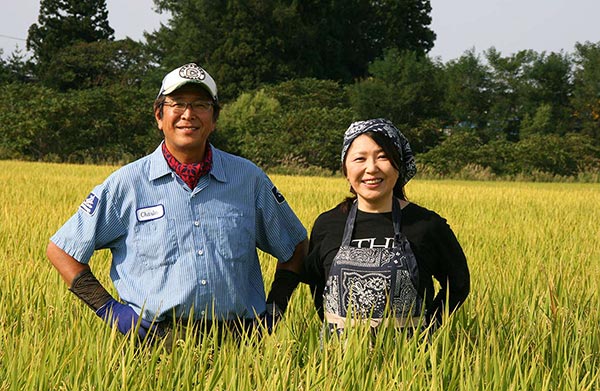 【山田ふぁーむ】さつき米あきたこまち　玄米 5kg