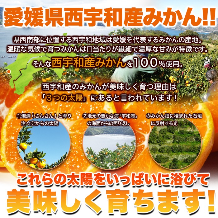 【天然生活】【訳アリ】皮むき冷凍みかん500g
