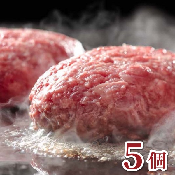 【鏡山牧場】八崎牛のハンバーグ 120g×5個