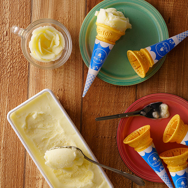 【前田冷菓】ちりんちりんアイス・ファミリーセット(プレーン)