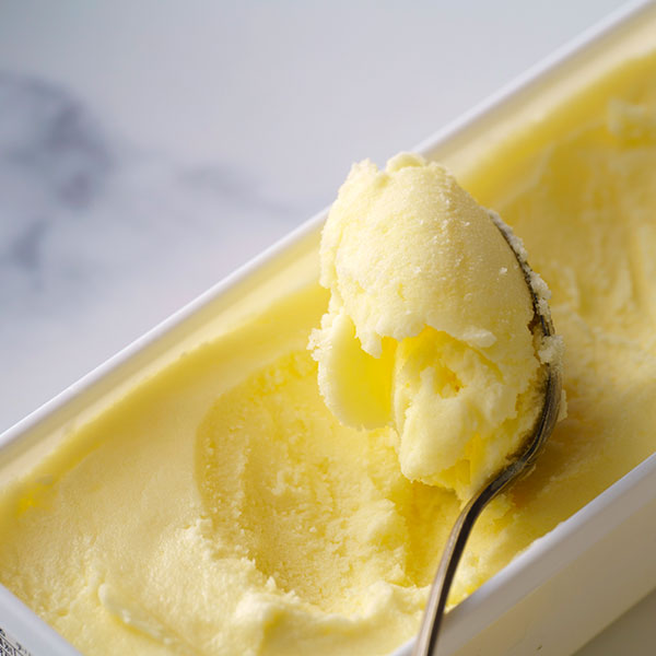 【前田冷菓】ちりんちりんアイス・ファミリーセット(プレーン)