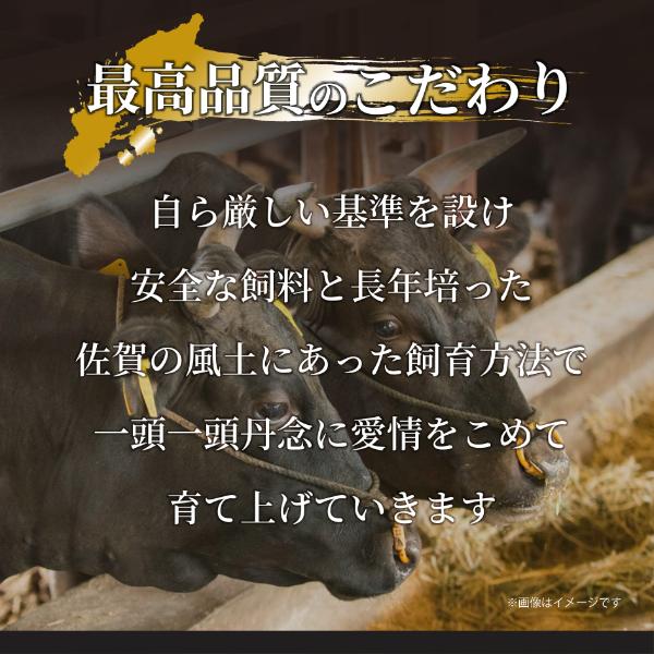 【MEAT PLUS】【厳選部位】【A4～A5】佐賀牛サーロインしゃぶしゃぶすき焼き用　500ｇ