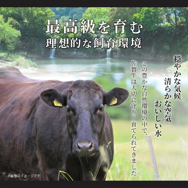【MEAT PLUS】【厳選部位】【A4～A5】佐賀牛サーロインしゃぶしゃぶすき焼き用　500ｇ