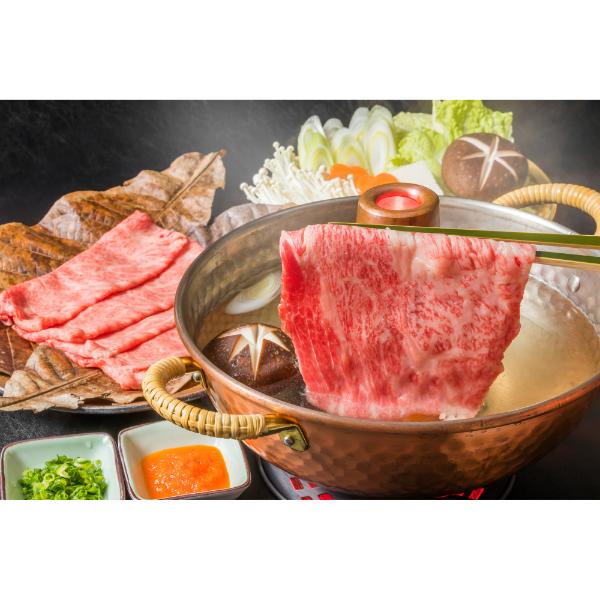 【MEAT PLUS】【厳選部位】【A4～A5】佐賀牛サーロインしゃぶしゃぶすき焼き用　500ｇ
