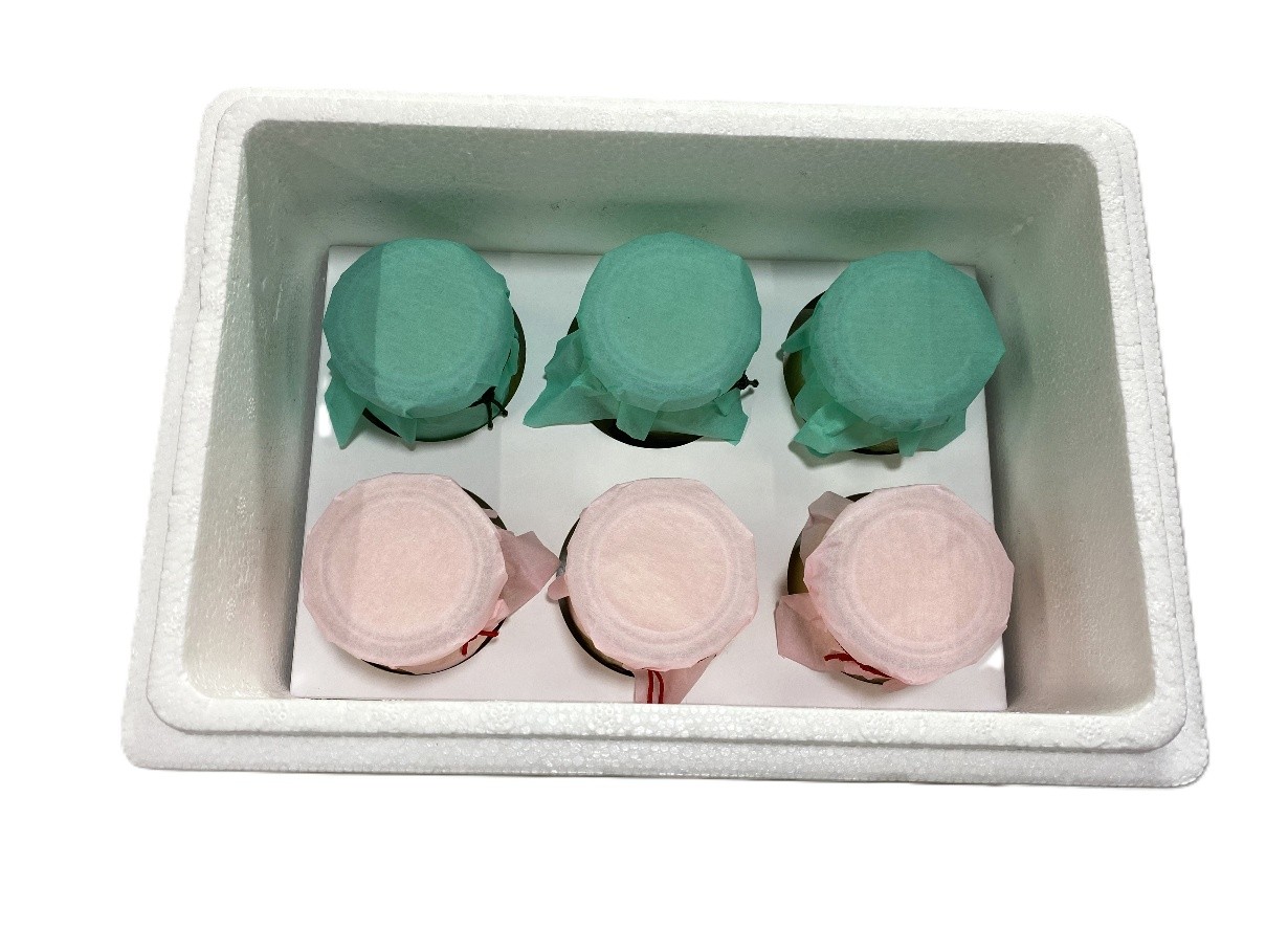 【黒沢牧場】牧場プリンセット