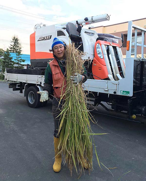 【山田ふぁーむ】国産リゾット米1ｋｇ