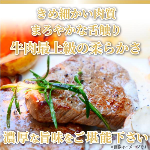 【MEAT PLUS】【A4～A5】佐賀牛ヒレステーキ　450g（150ｇ×3枚）