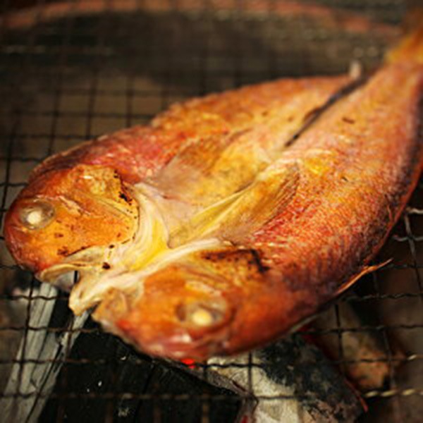 【岡富商店】「一日漁」吉祥天