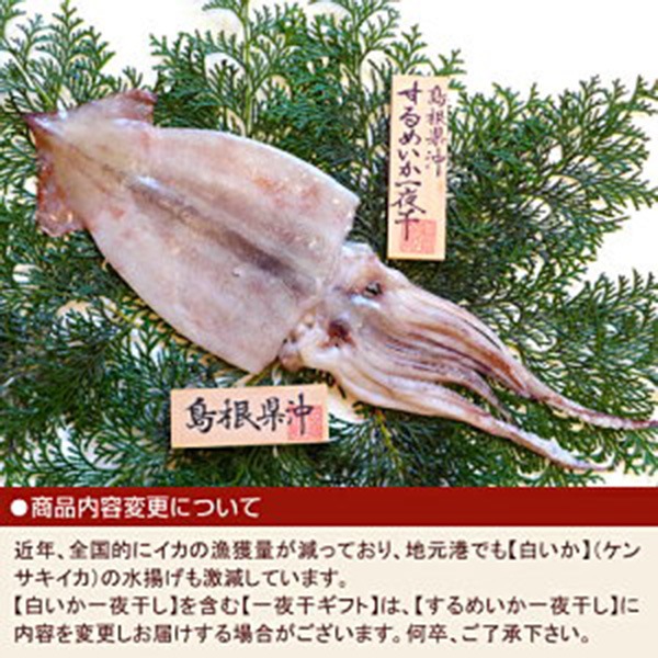 【岡富商店】「一日漁」吉祥天