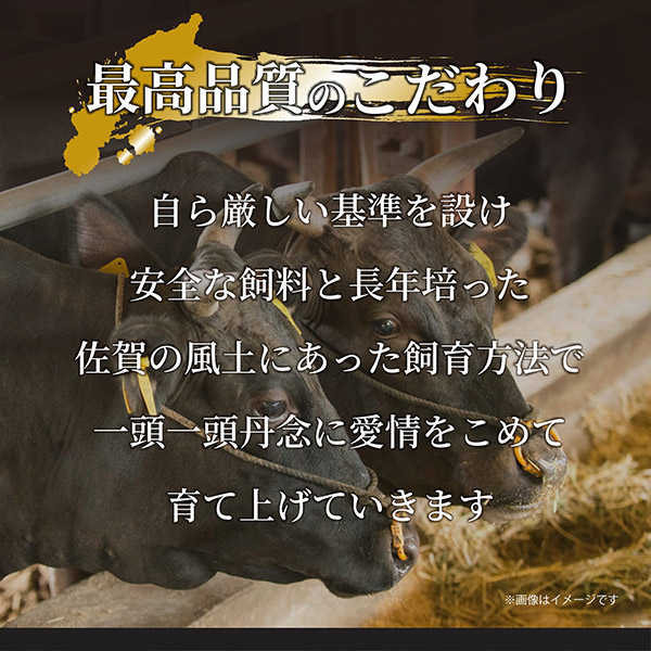 【MEAT PLUS】艶さし!【厳選部位】【A4~A5】佐賀牛サーロインしゃぶしゃぶすき焼き用 600g