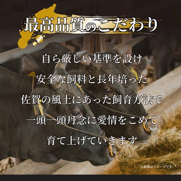 【MEAT PLUS】訳あり!【A4~A5】佐賀牛赤身霜降りしゃぶしゃぶすき焼き用(肩・モモ)400g