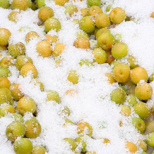 【東農園】紀州五代梅 220g