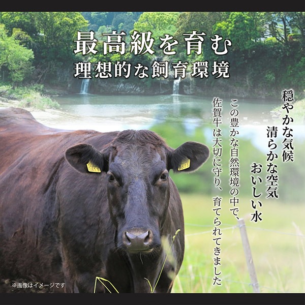 【MEAT PLUS】【厳選希少部位】【A4～A5】佐賀牛ミスジステーキ　約1ｋｇ（100ｇ×10ｐ）