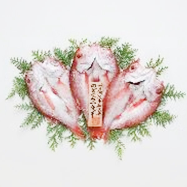 【岡富商店】「一日漁」のどぐろ一夜干660ｇ