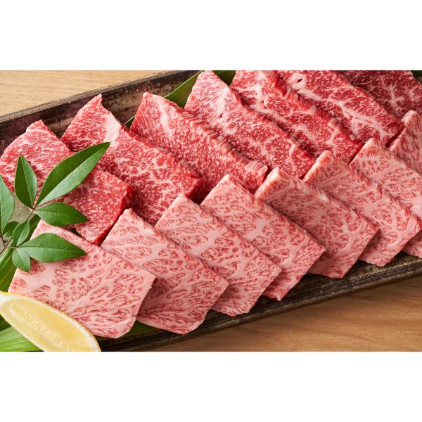 【MEAT PLUS】艶さし！【A4～A5】佐賀牛焼肉用　1kg（500ｇ×2ｐ）