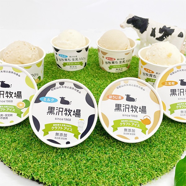 【黒沢牧場】4種のクラフトアイス8個セット