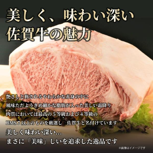 【MEAT PLUS】艶さし！【A4～A5】佐賀牛切り落とし　1kg(500ｇ×2ｐ）