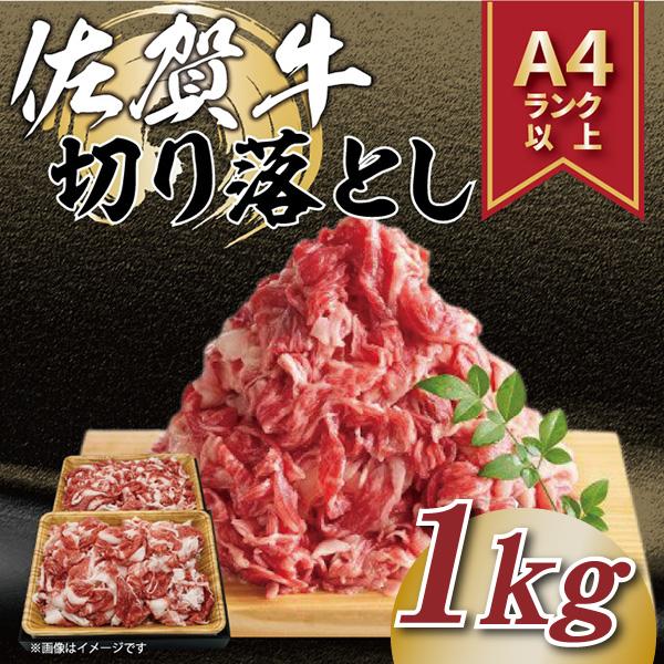 【MEAT PLUS】艶さし！【A4～A5】佐賀牛切り落とし　1kg(500ｇ×2ｐ）