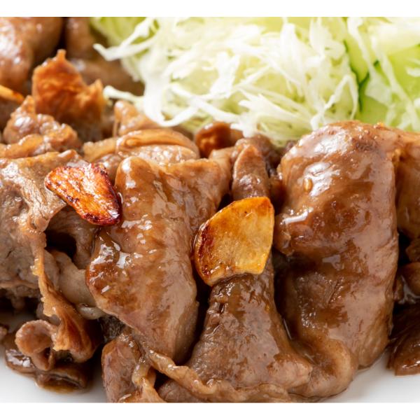 【MEAT PLUS】艶さし！【A4～A5】佐賀牛切り落とし　1kg(500ｇ×2ｐ）