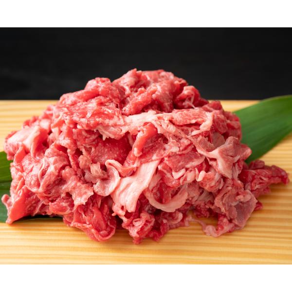 【MEAT PLUS】艶さし！【A4～A5】佐賀牛切り落とし　1kg(500ｇ×2ｐ）