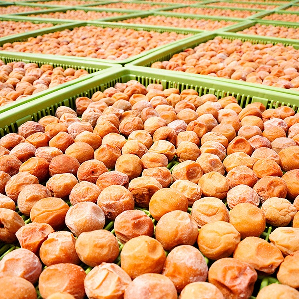 【東農園】紀州五代梅の夢想 16粒