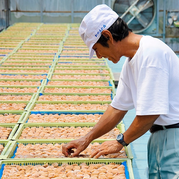 【東農園】紀州五代梅の夢想 16粒